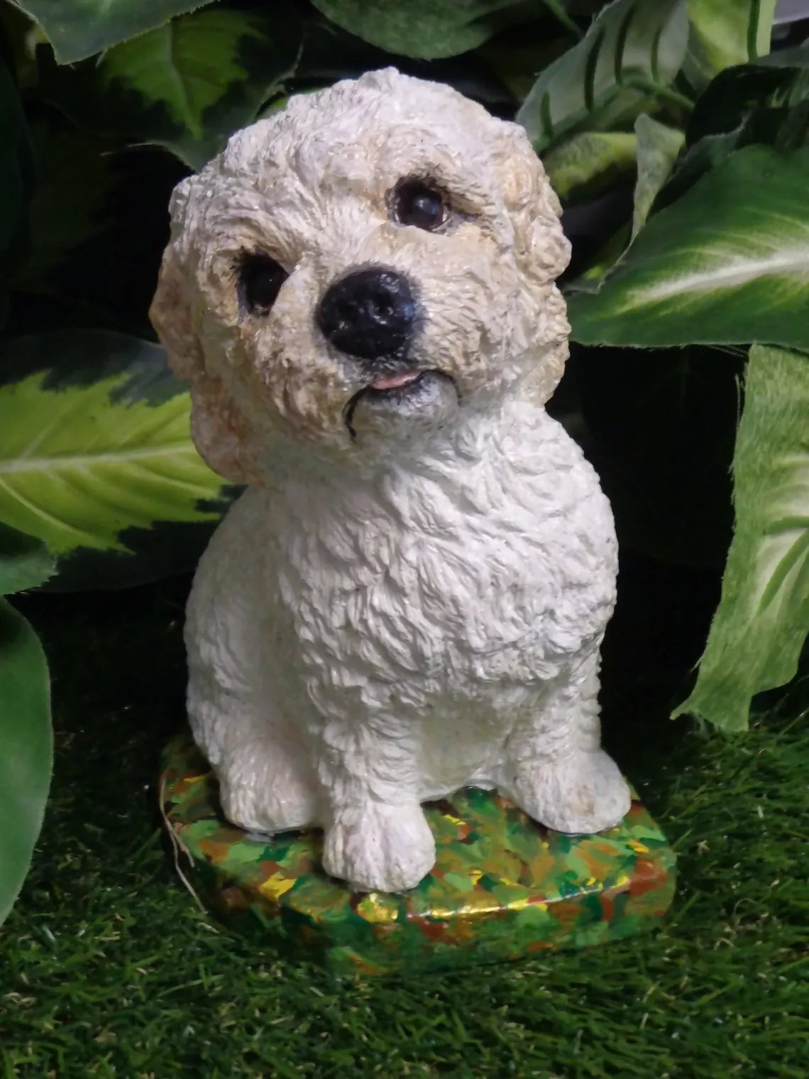 Cockapoo, Havanese, Bolognese, Maltese,Poodle, Bichon Frise,Pumi, L...