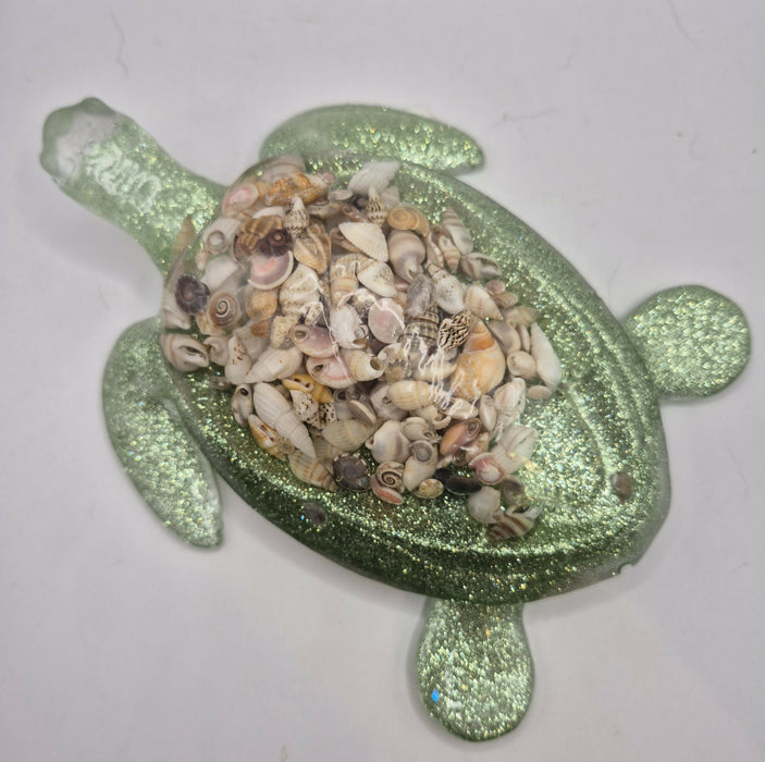 Shell Turtle