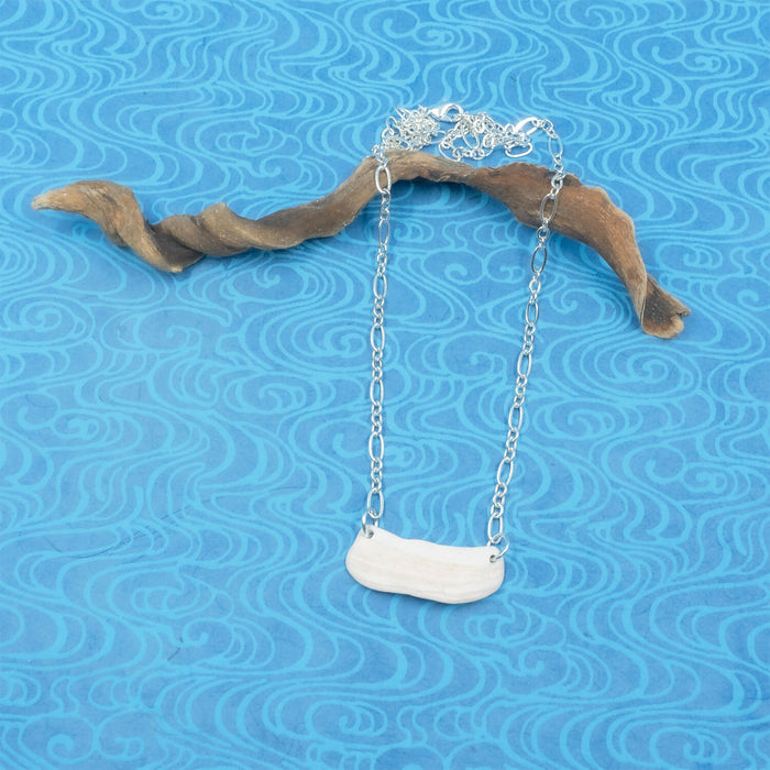 Seashell Necklace