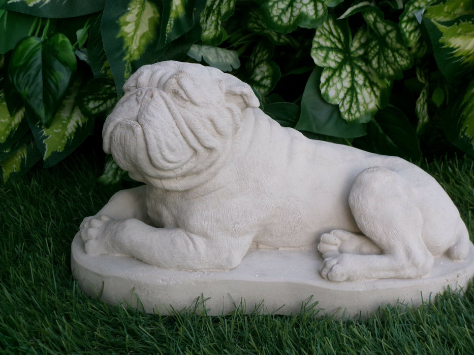 Bulldog Statue 5 x 10 x 6" high Concrete Statue