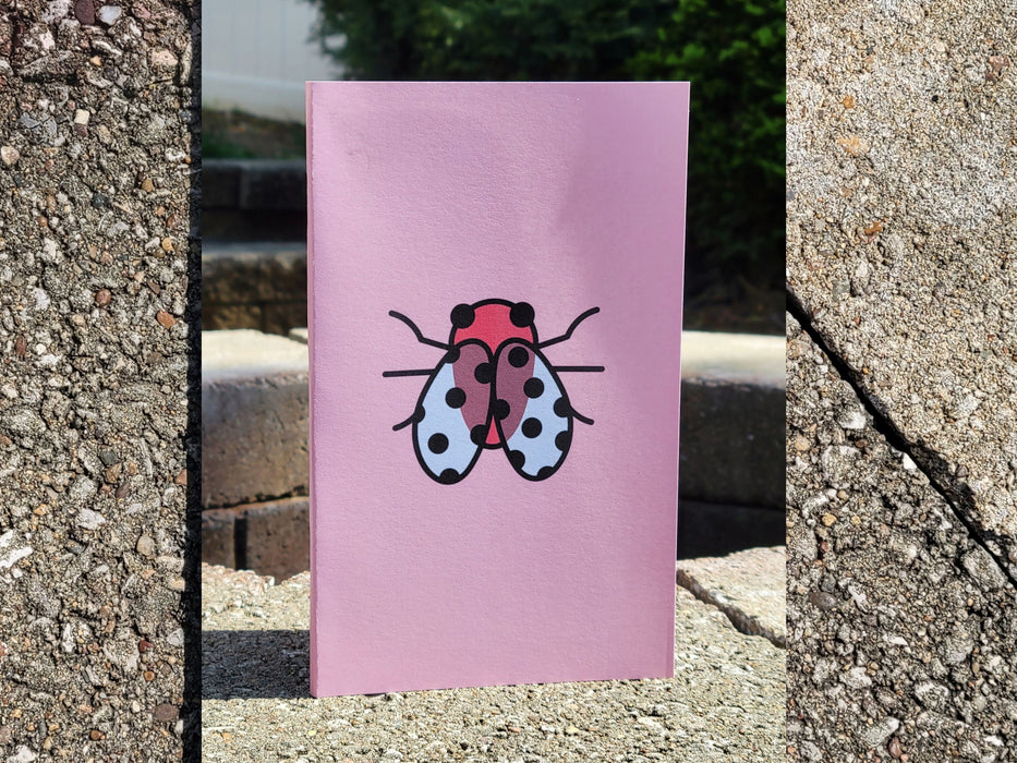 Ladybug Buggy, an Insect Handbound Sketchbook for Mixed Media Art, Sketching, Drawing, and Writing