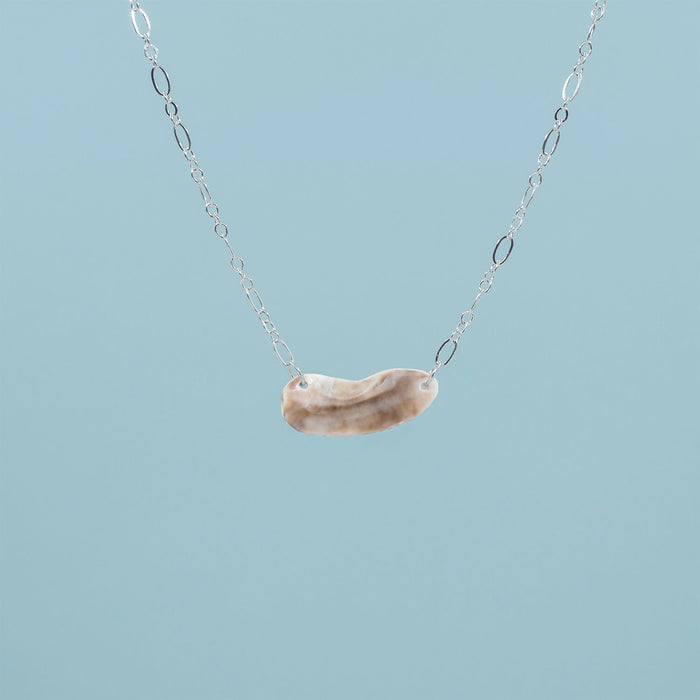 Seashell Necklace