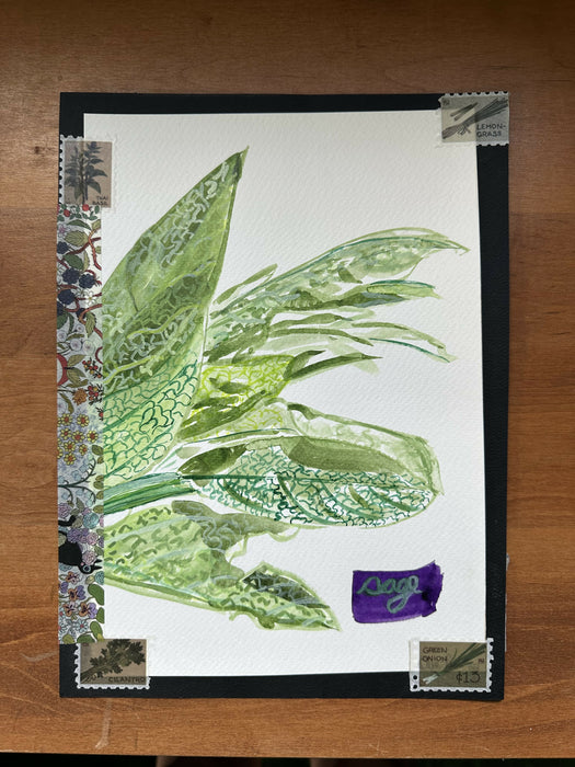 "Sage" - original watercolor painting