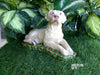 s8bd600eQa