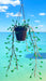 Suncatchers Glass Teardrop ‘Forever’ Plant Suncatcher – Handmade Hanging Prism Décor