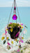Suncatchers Leafy ‘Forever’ Plant Suncatcher with Glass Prisms & Spinner