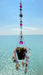 Suncatchers Pink Sherbert Leafy ‘Forever’ Plant Suncatcher with Glass Prisms & Spinner