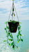 Suncatchers Leafy ‘Forever’ Plant Suncatcher with Glass Prisms & Spinner