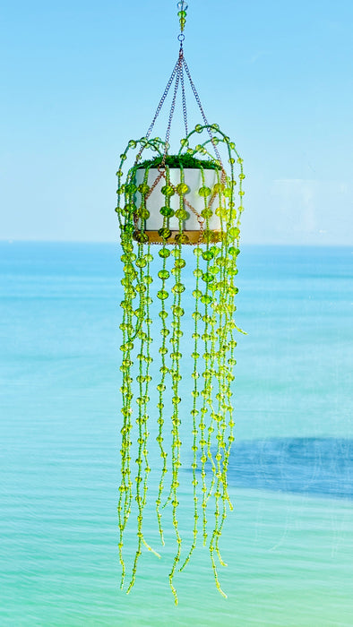 Suncatchers String of Pearls Forever Plant Suncatcher