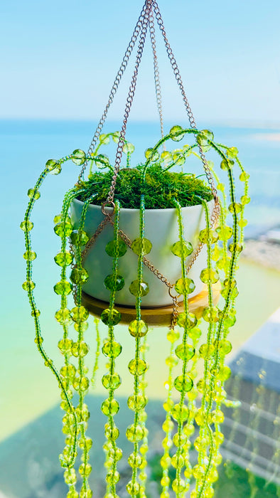 Suncatchers String of Pearls Forever Plant Suncatcher
