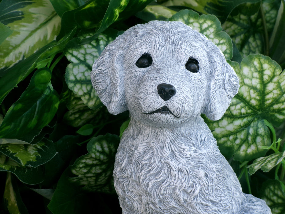 Cockapoo Concrete Statue 5x5.5x8.25" High
