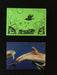 Card features abstract nature design including goats, fish, and a crow on lime green paper. Envelope features photograph of dolphins swimming in clear blue water.