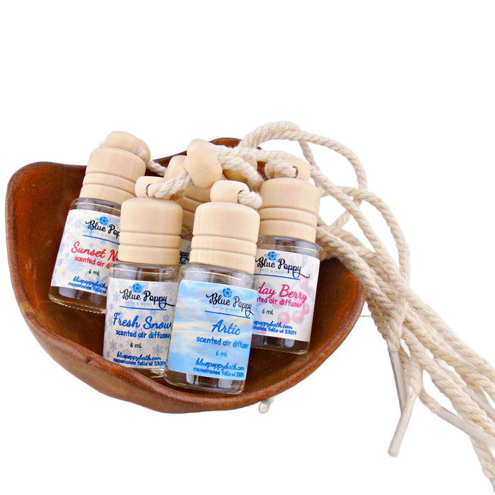 Hanging Air Diffuser, Aromatherapy Bottle for Cars