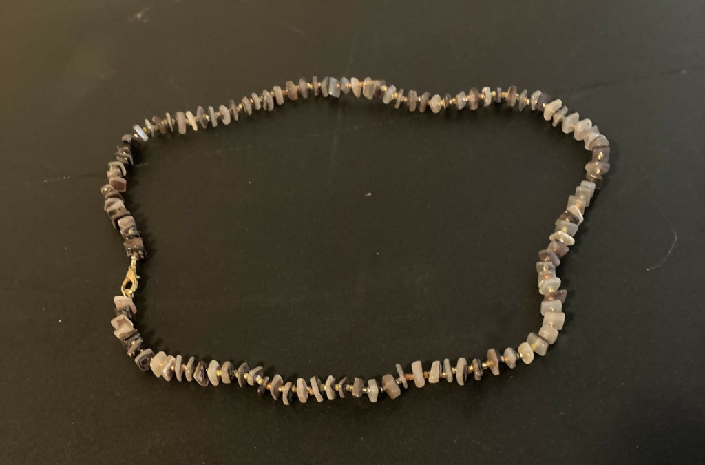 Necklace of alternating mussel shell chip beads and gold-colored glass seed beads.