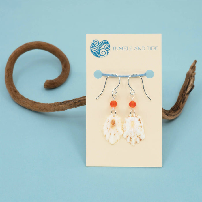 Limpet Seashell Earrings