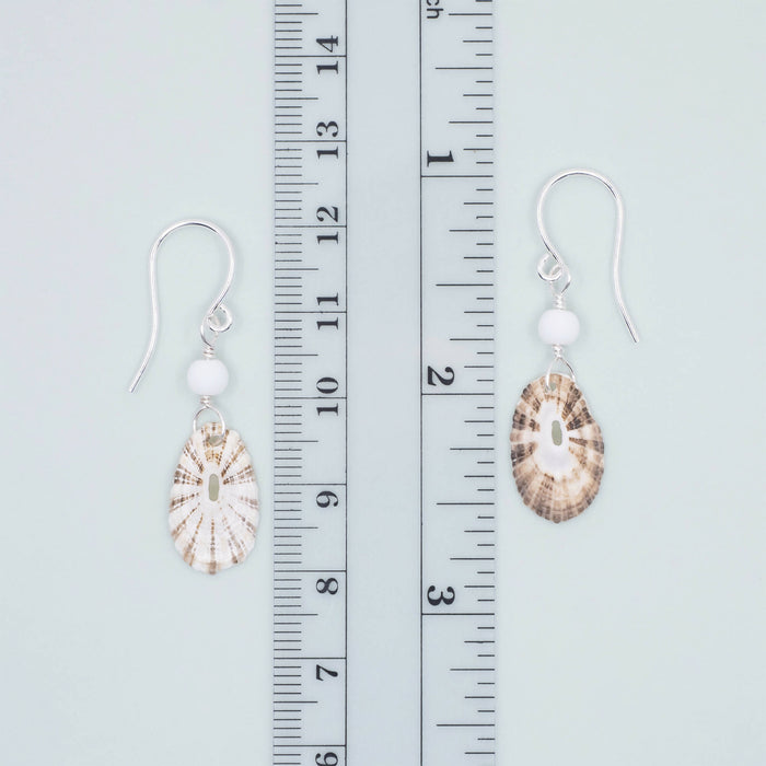 Limpet Seashell Earrings