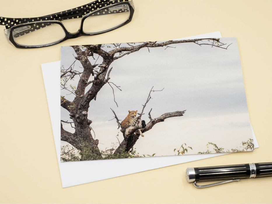 Leopard Photography Greeting Card