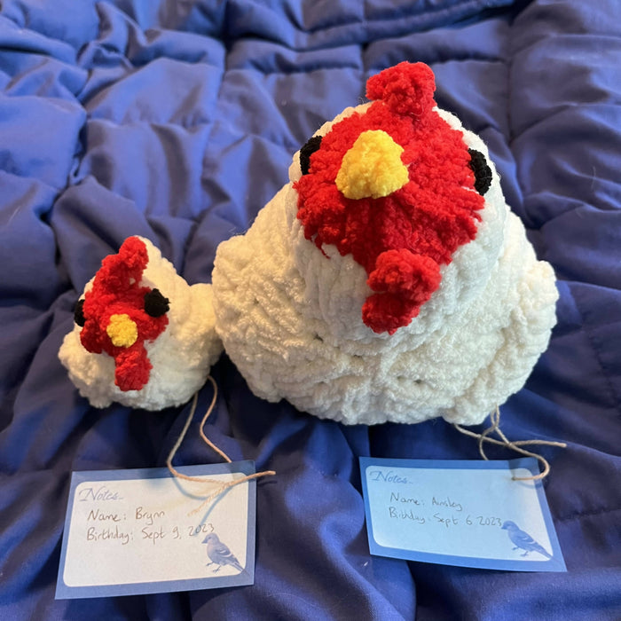Ainsley and Brynn the knitted chicken plushies, sitting together so you can see that Brynn is significantly smaller
