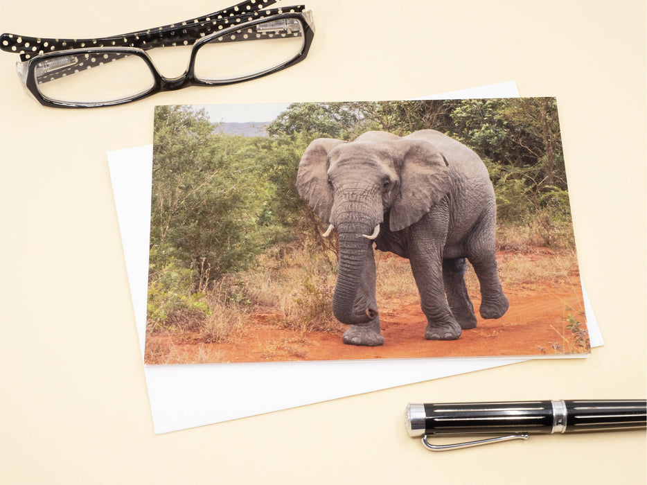 Elephant Photography Greeting Card