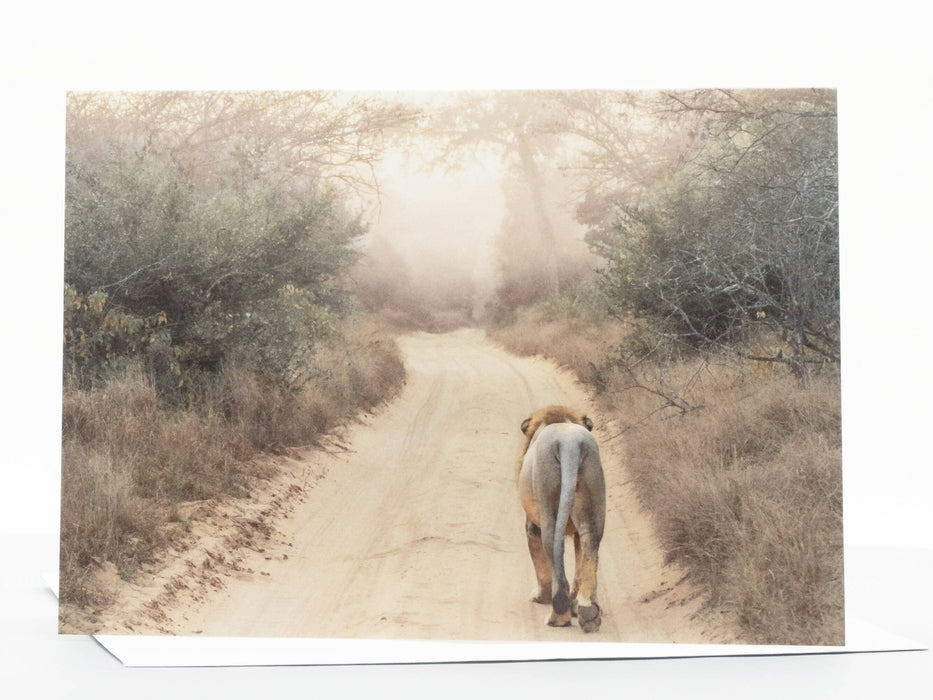 Lion Photography Greeting Card