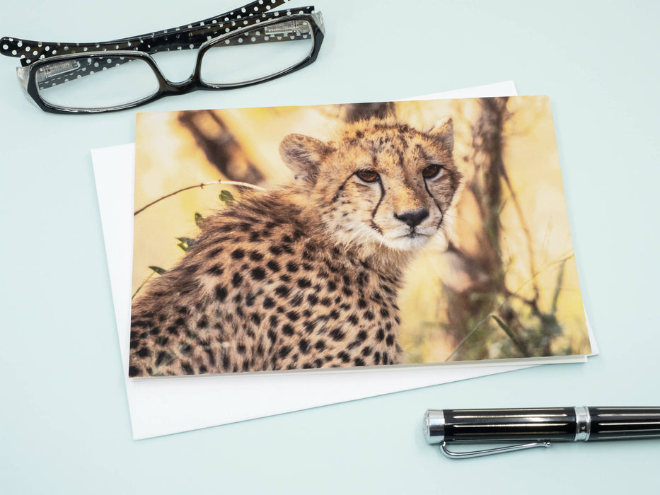 Cheetah Photography Greeting Card