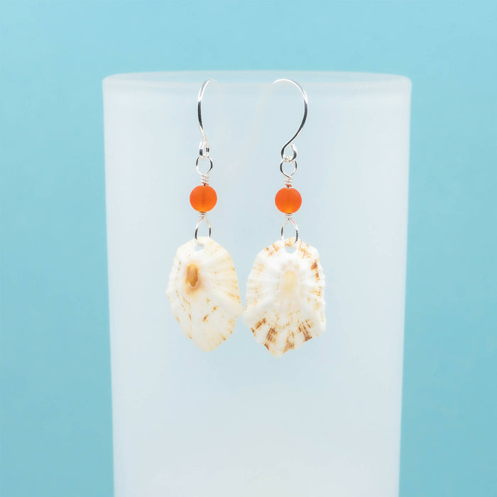 Limpet Seashell Earrings