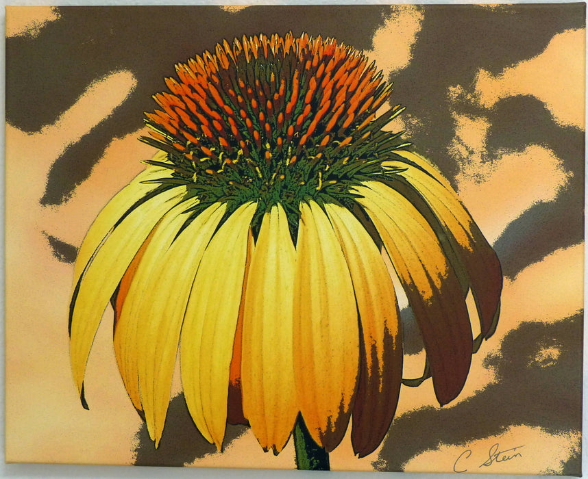 Coneflower Yellow - Recurved sm