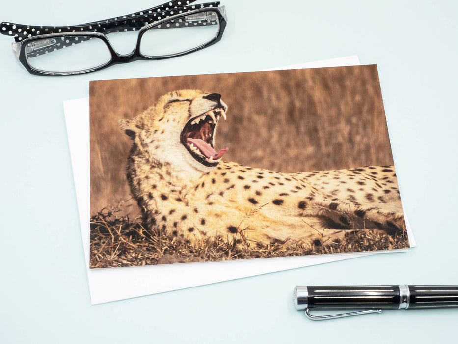 Cheetah Photography Greeting Card