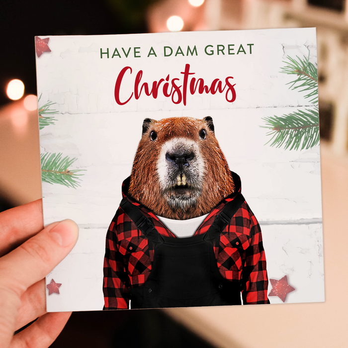 Have a Dam Great Christmas card