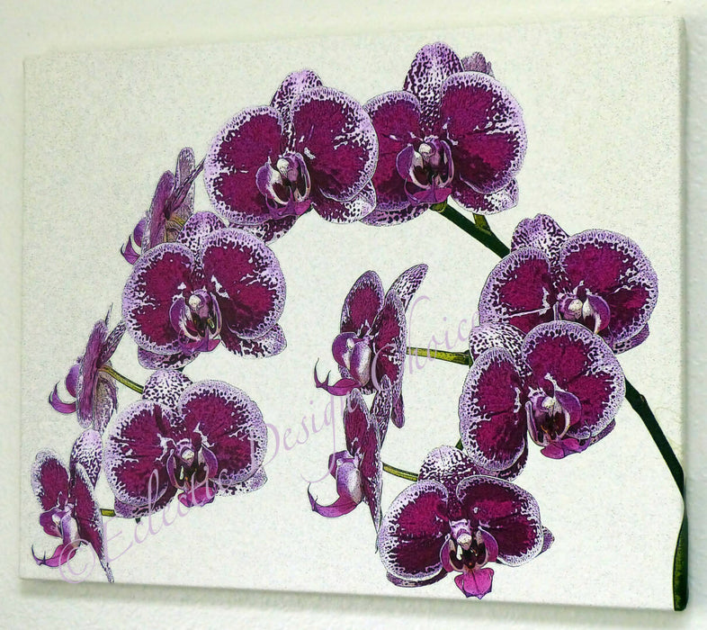orchids wm