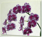 orchids wm