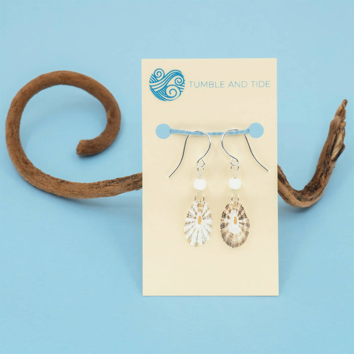 Limpet Seashell Earrings