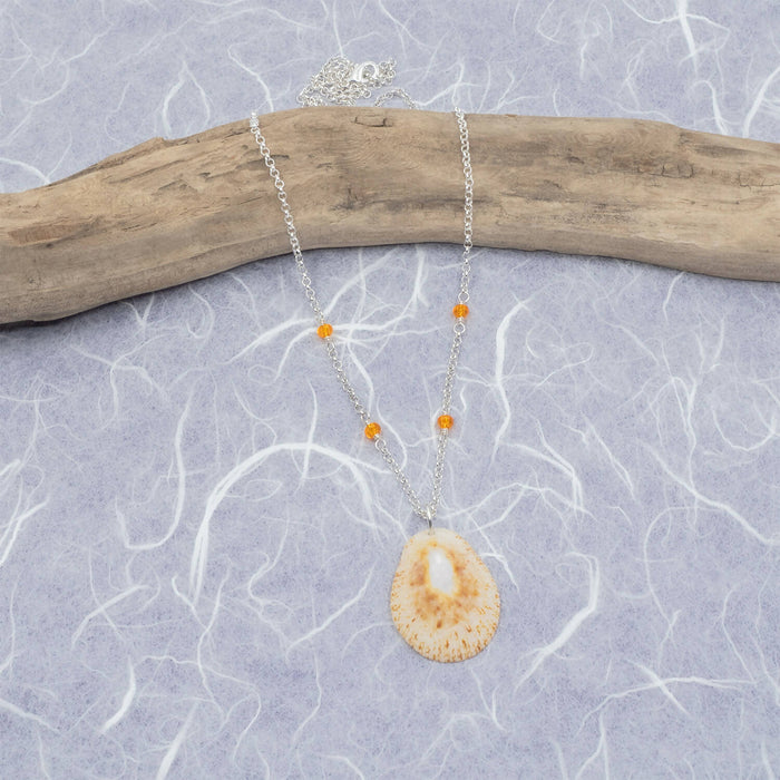 Limpet Seashell Necklace