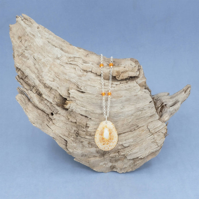 Limpet Seashell Necklace