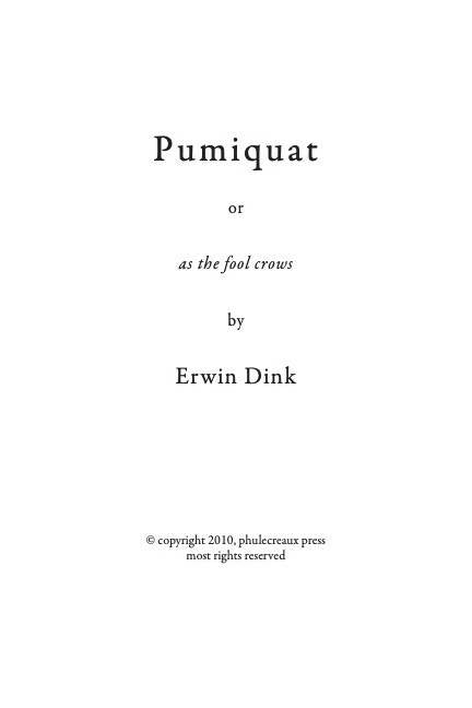 Pumiquat v1 (PDF)