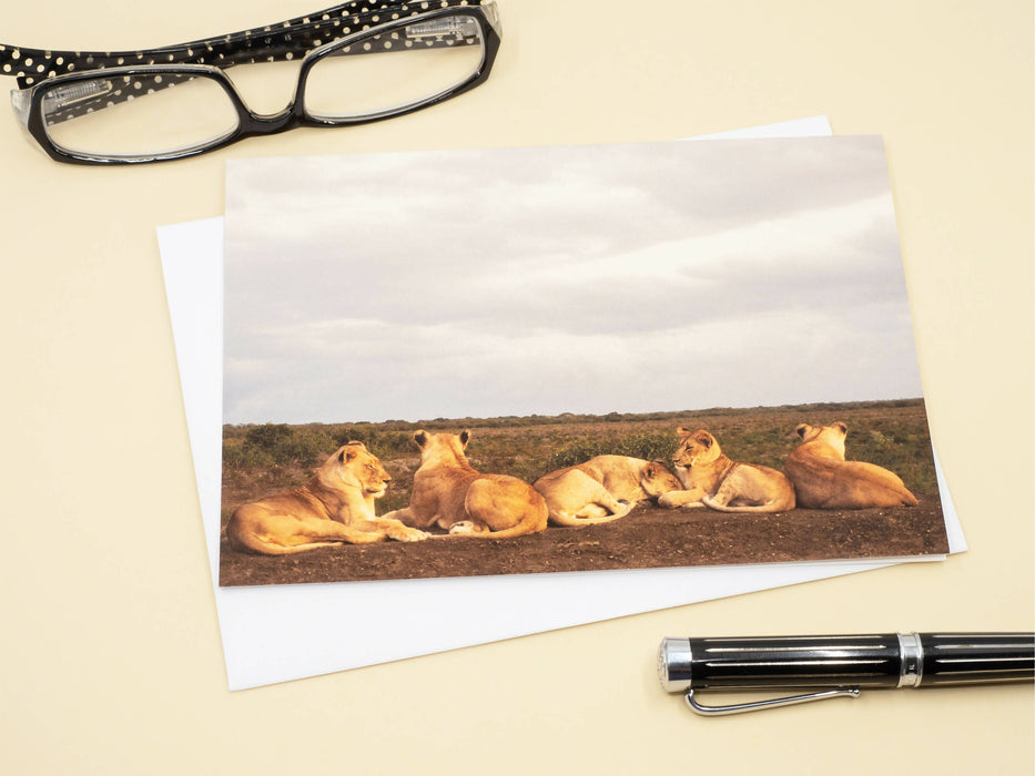 Lion Photography Greeting Card