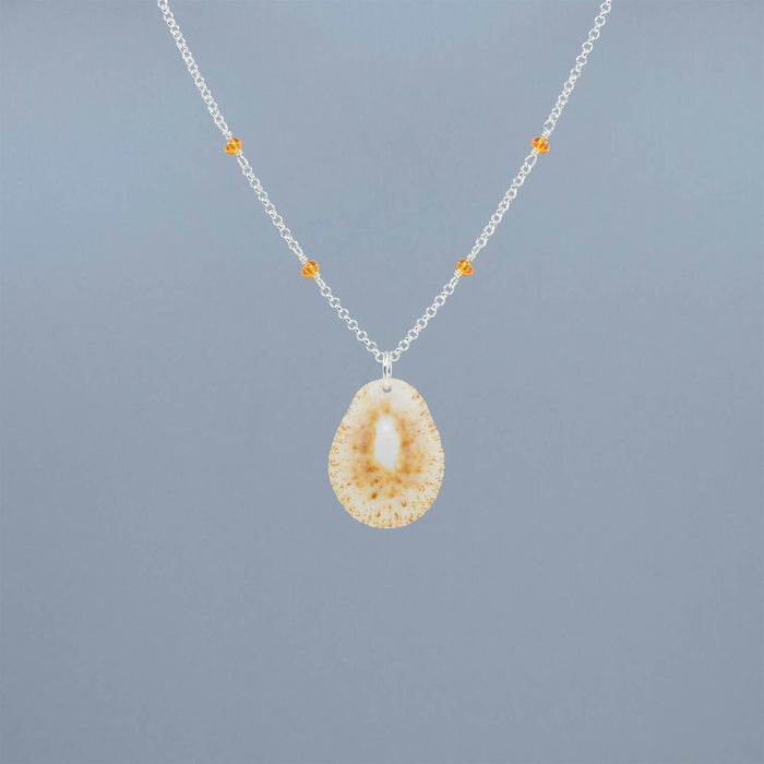 Limpet Seashell Necklace