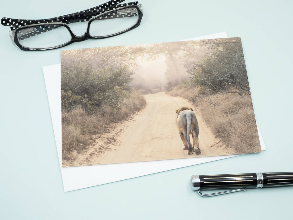 Lion Photography Greeting Card