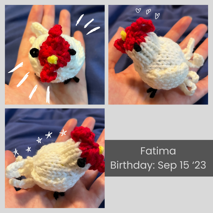 Fatima (catnip chicken)
