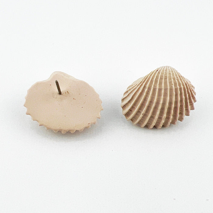 Earrings Clam Shell Stud Earrings