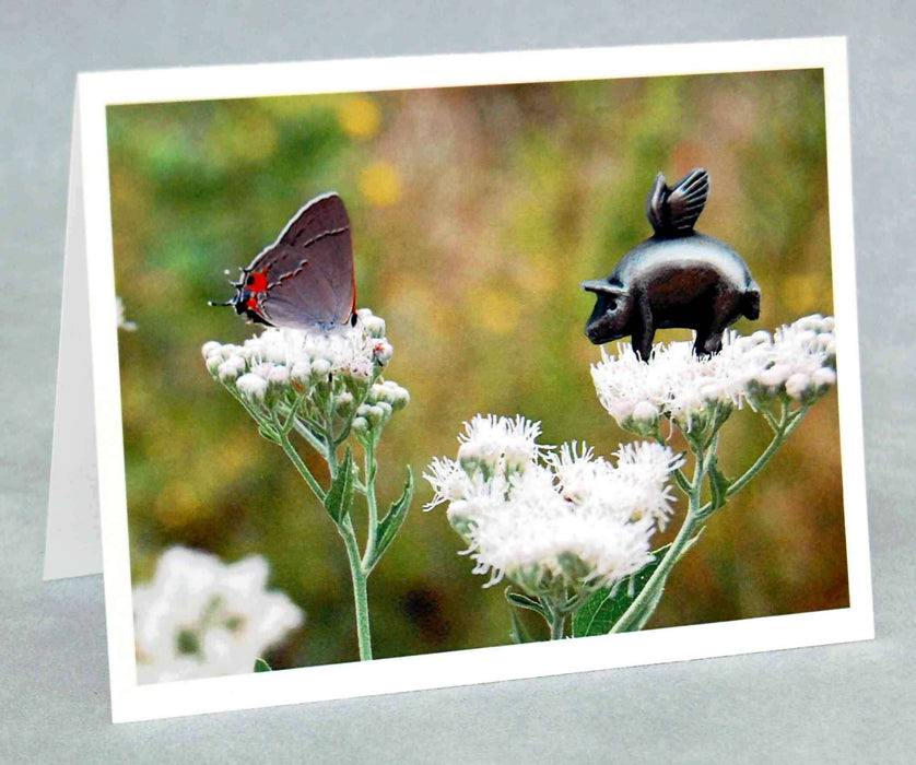 Flying Pig Note Cards - Piggy Pollinator Series