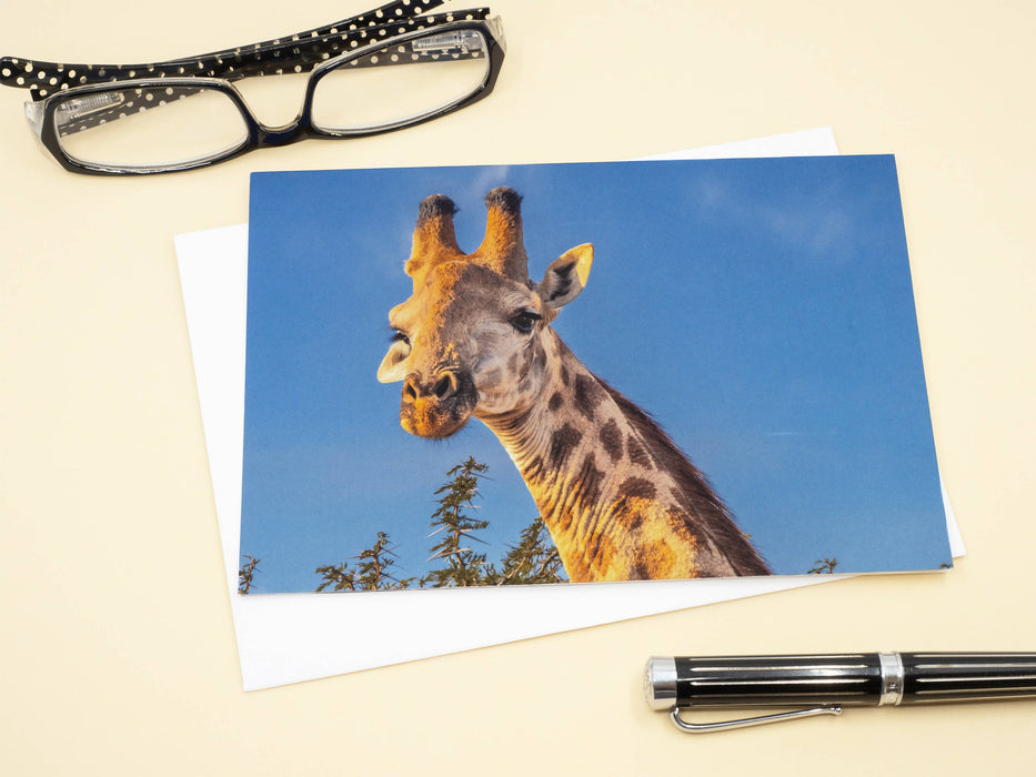 Giraffe Photography Greeting Card