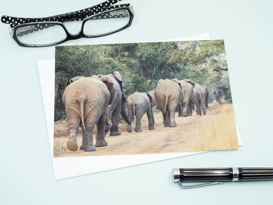 Elephant Photography Greeting Card