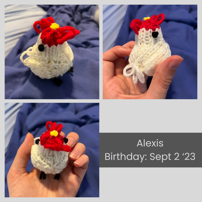 Collage of images of Alexis, a tiny knitted chicken stuffed with catnip, whose birthday is September 2 2023