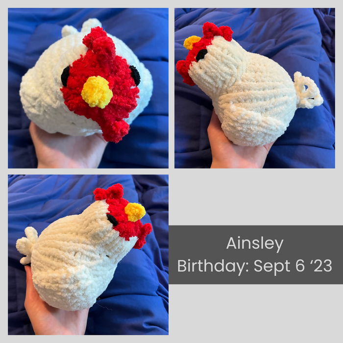 Collage of images of Ainsley the chonky chicken plushie. She has soft knitted features - a comb and wattle, a beak, a tail, wings, and eyes. Her birthday is listed as September 6, 2023.