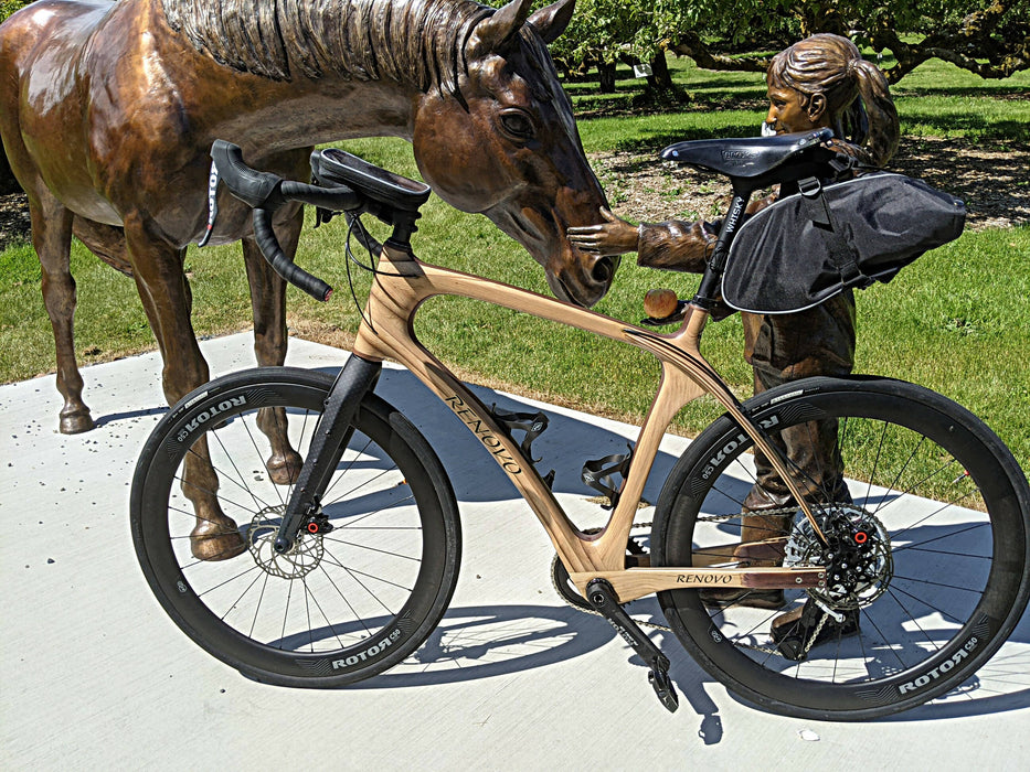 Wood Bicycle Frame