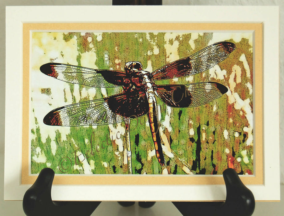 Dragonfly Photographic Art Prints