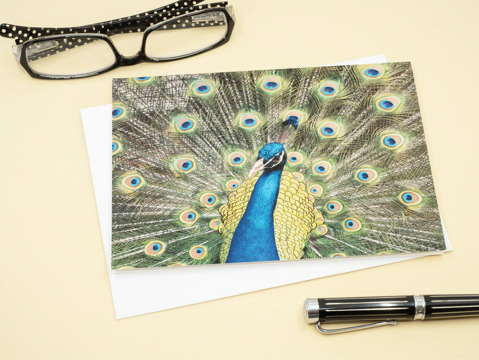 Peacock Photography Greeting Card