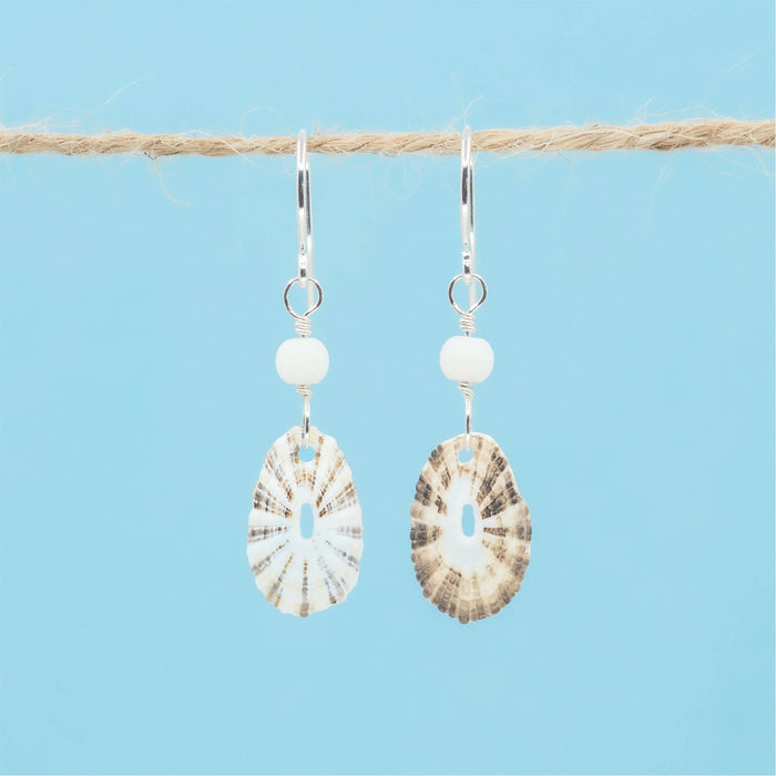 Limpet Seashell Earrings