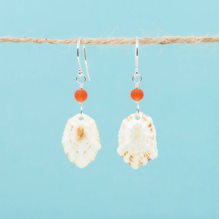 Limpet Seashell Earrings